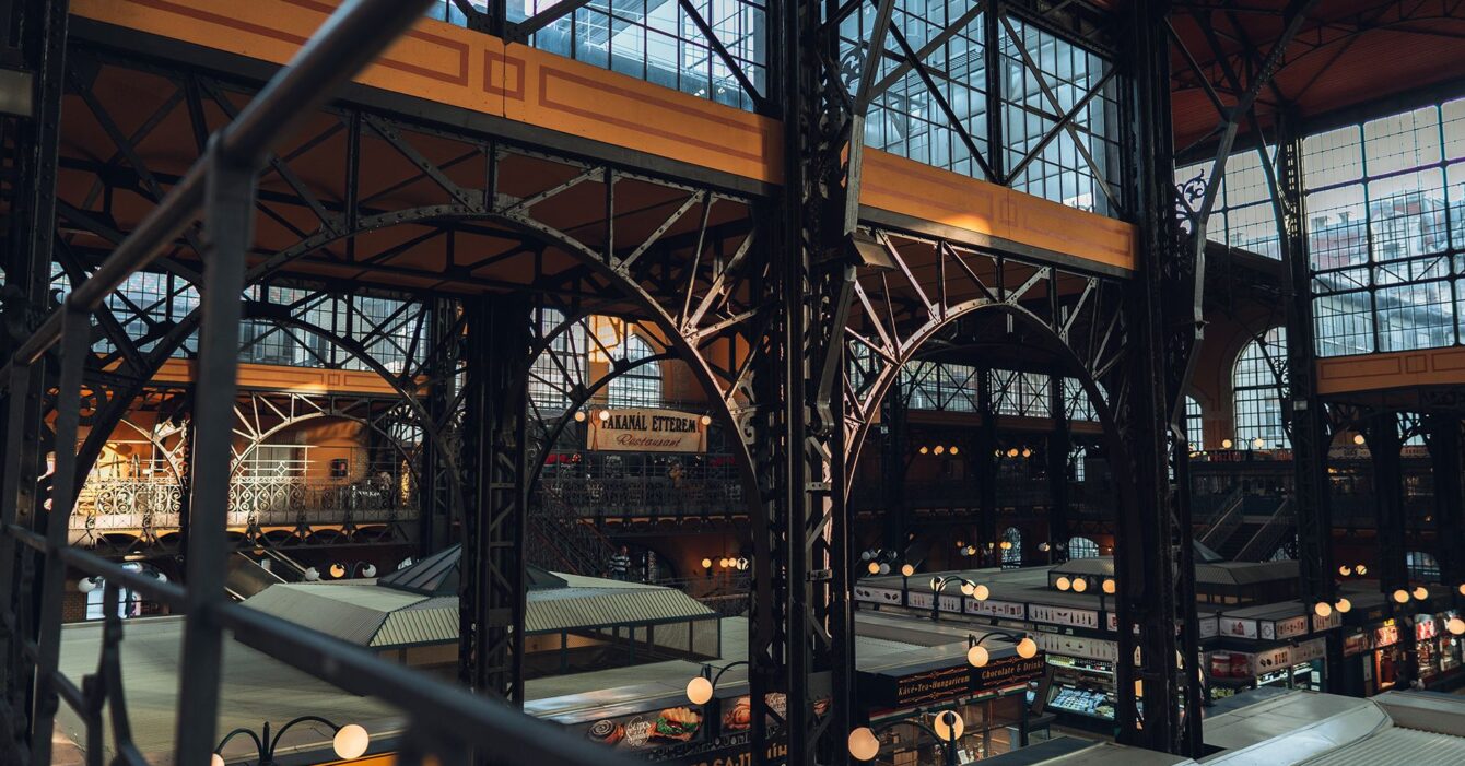 anton-shakirov-k6pXI12U9ek-unsplash anton-shakirov-k6pXI12U9ek-unsplash